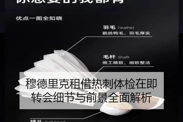 穆德里克租借热刺体检在即 转会细节与前景全面解析